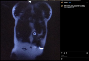 Screenshot 2024-02-26 at 00.48.11.png