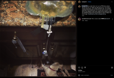 Screenshot 2024-02-26 at 02.19.49.png