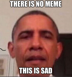 IMG_2327.jpeg