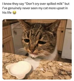 FB_IMG_1710114645067.jpg