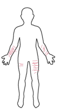 1710172683186.png