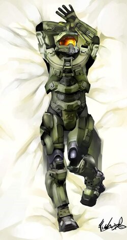 Bodypillowimage.jpg