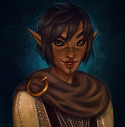 bosmer merc.png