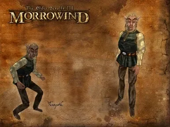 fargoth loading screen.png