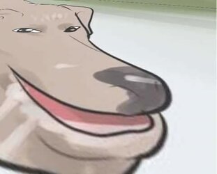 smug null.jpeg