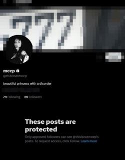1710250688529.png
