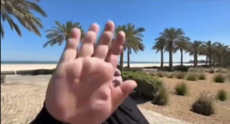 fat_10.png