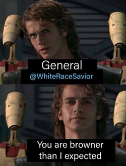 1710290449171.png