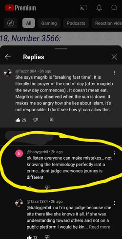 Screenshot_20240313_150613_YouTube.jpg