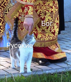 1710412665264.png