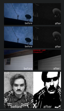 unedited photos.png