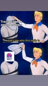 images.jpeg