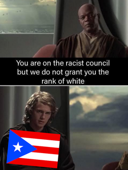stonetoss white.png