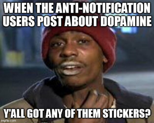 8j7pym.jpg
