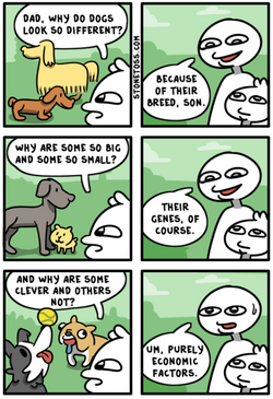 1710448685974.png