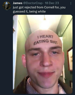 1710450931827.png