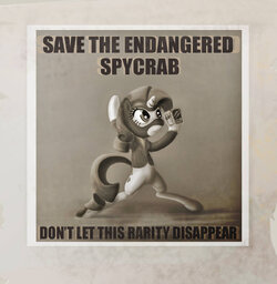 endangered_spycrab_by_subjectnumber2394_d4om4k9-414w-2x.jpg