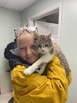 Georgia-womans-cat-found-a-mile-from-home-after-7-years.jpg