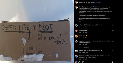 delta Jesse Boettcher LUNATIC SKULLS 1.png