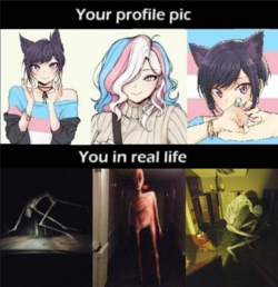 troons-irl.png