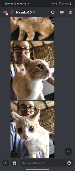 retard face.png retard face.png