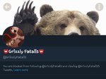 Screenshot_20181031-172306_Twitter.jpg