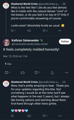 k8.png