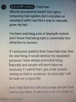 sv3rige wig confession 2.jpg