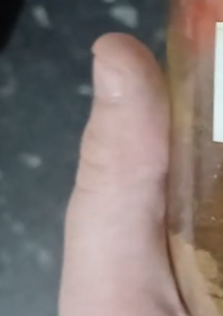 cog5.png