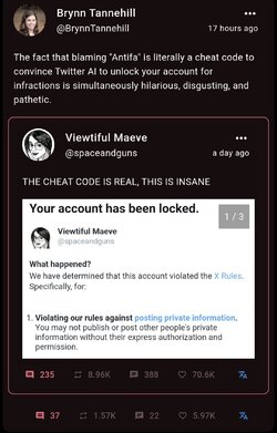 StealthyAntifa.jpg
