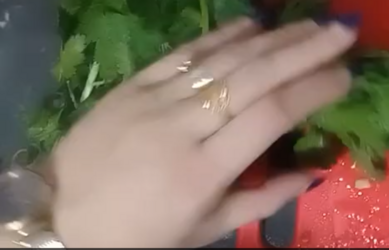 hands3.png