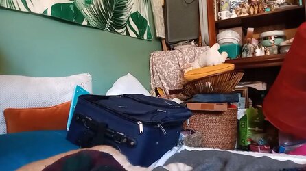 suitcase.JPG