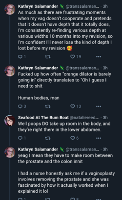 k1.png