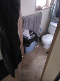 home2.png