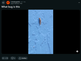Bagworm 1.png