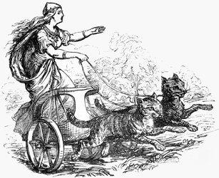 freya.jpg