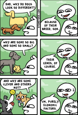 1710714068811.png