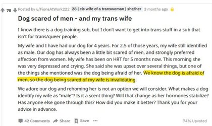 dogafraid.JPG