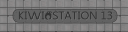 KiwiSation13bird.png