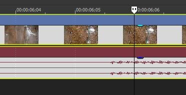 cut1.jpg