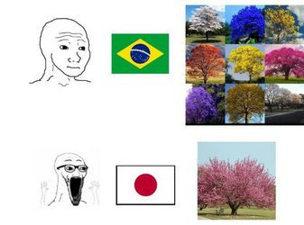 1710769020793.png
