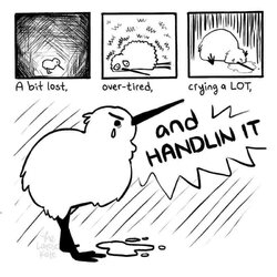IMG_3458.jpeg