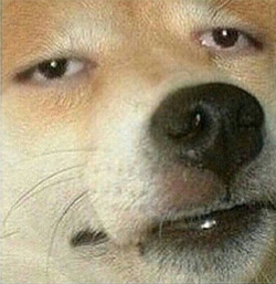 1627758263433.png