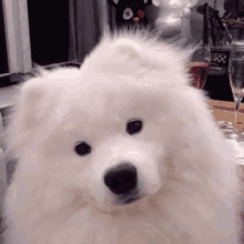 851D9A23-FE2A-41F9-ACFD-68F5136A5D12.gif