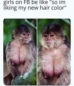 FB_IMG_1710803629656.jpg