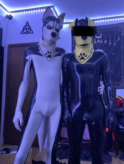 1710850681138.png