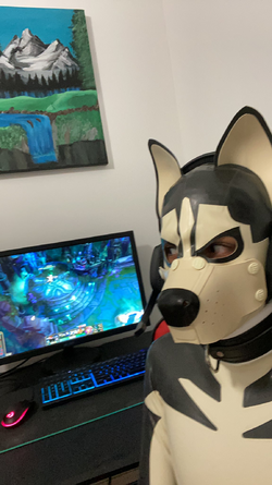 1710850792900.png