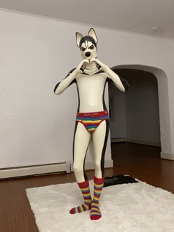 1710851256705.png