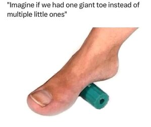 Toe.jpg