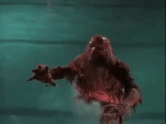 giphy_s.gif